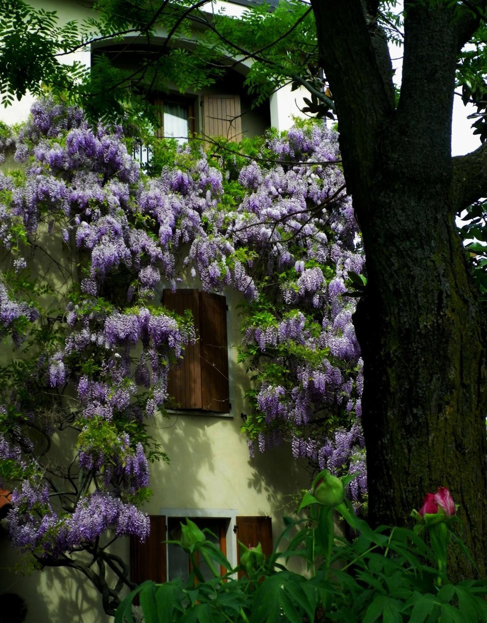 Le Querce Hotel Salsomaggiore Terme Exterior foto