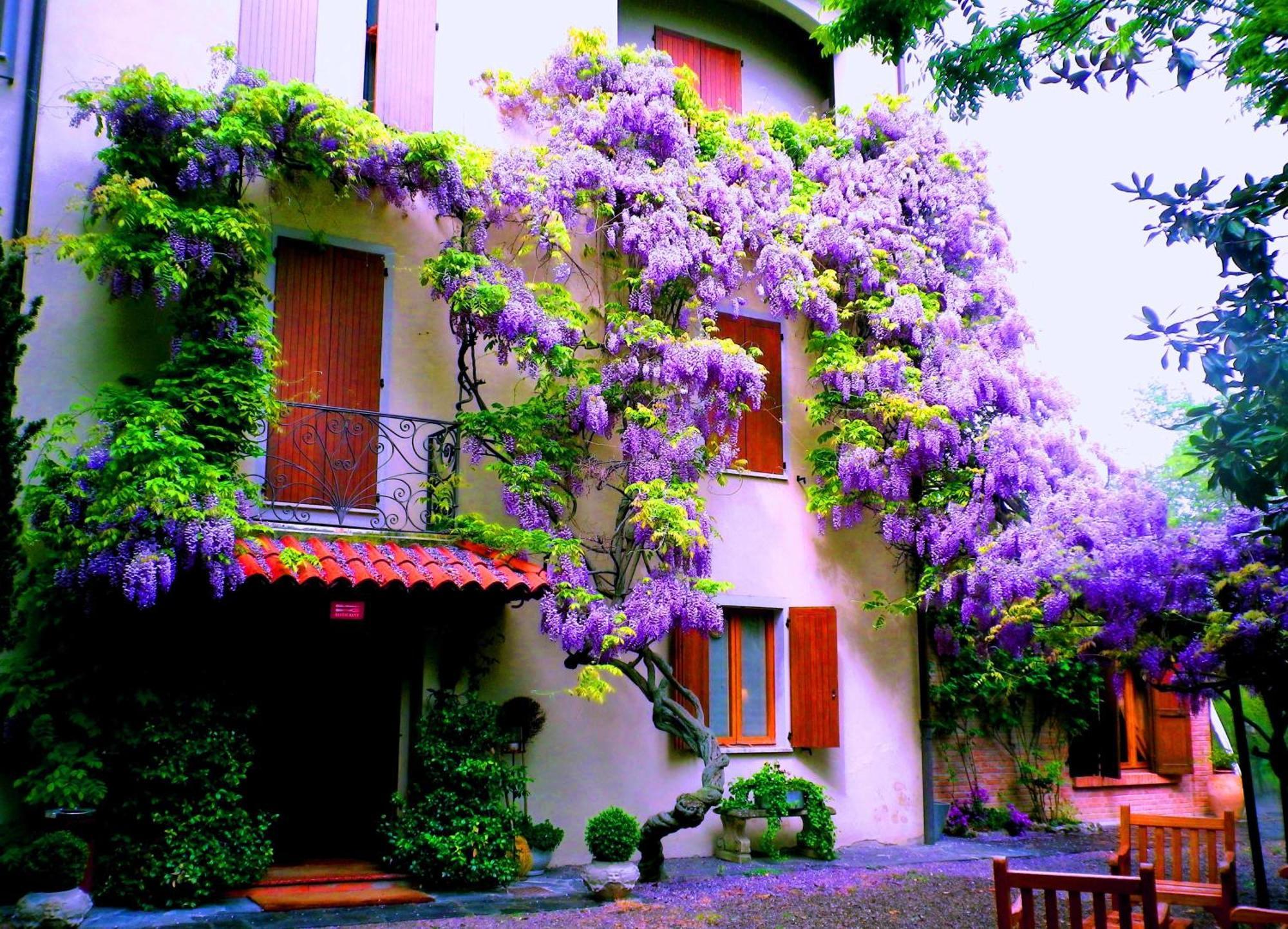 Le Querce Hotel Salsomaggiore Terme Exterior foto